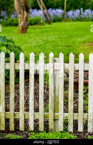 Clôture de piquetage blanche et herbe verte dans un jardin ou un parc à la maison. Gros plan d'un poteau de porte en bois recouvert de mousse dans un arboretum luxuriant avec une pelouse et des plantes Banque D'Images