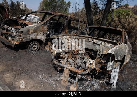 Des voitures sont brûlées dans l'urbanisation River Park, Pont Vilomara, Barcelone. Traces de feu sur la végétation et les éléments urbains après le feu sur 17 juillet qui a dévasté 1 500 hectares laissant quelques maisons brûlées à Pont de Vilomara (Barcelone) aux portes de Sant Llorenç del Munt i l, parc naturel d'Obac. Banque D'Images