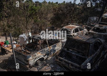 Des voitures sont brûlées dans l'urbanisation River Park, Pont Vilomara, Barcelone. Traces de feu sur la végétation et les éléments urbains après le feu sur 17 juillet qui a dévasté 1 500 hectares laissant quelques maisons brûlées à Pont de Vilomara (Barcelone) aux portes de Sant Llorenç del Munt i l, parc naturel d'Obac. Banque D'Images