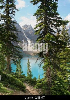 Sentier du lac Moraine. alberta Canada Banque D'Images