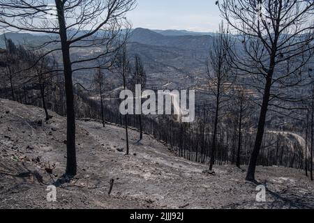 Barcelone, Espagne. 25th juillet 2022. La masse forestière est vue brûlée dans l'urbanisation du Parc de la rivière, Pont Vilomara, Barcelone. Traces de feu sur la végétation et les éléments urbains après le feu sur 17 juillet qui a dévasté 1 500 hectares laissant quelques maisons brûlées à Pont de Vilomara (Barcelone) aux portes de Sant Llorenç del Munt i l, parc naturel d'Obac. (Photo par Paco Freire/SOPA Images/Sipa USA) crédit: SIPA USA/Alay Live News Banque D'Images