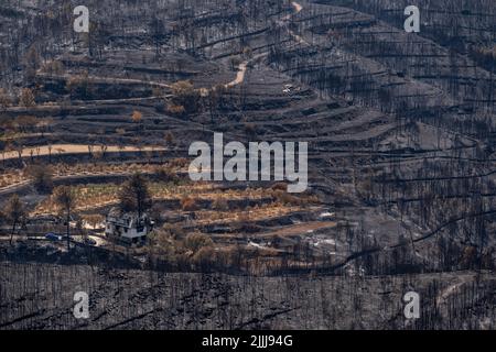 Barcelone, Espagne. 25th juillet 2022. La masse forestière est vue brûlée dans l'urbanisation du Parc de la rivière, Pont Vilomara, Barcelone. Traces de feu sur la végétation et les éléments urbains après le feu sur 17 juillet qui a dévasté 1 500 hectares laissant quelques maisons brûlées à Pont de Vilomara (Barcelone) aux portes de Sant Llorenç del Munt i l, parc naturel d'Obac. (Photo par Paco Freire/SOPA Images/Sipa USA) crédit: SIPA USA/Alay Live News Banque D'Images