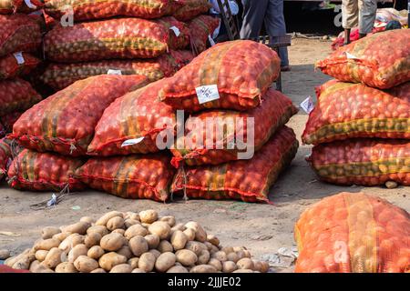 pile de pommes de terre fraîches bio de la ferme de près à partir de différents angles Banque D'Images