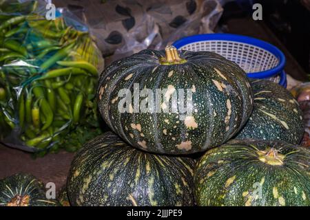 citrouille verte fraîche bio de la ferme de près à partir de différents angles Banque D'Images