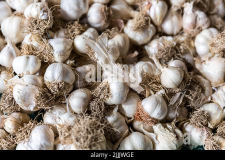 Garlics debout sur le marché décrochage Banque D'Images