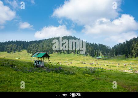 Une photo étonnante de la vallée du Cachemire (le Paradis sur Terre). Belle vue sur la vallée de Betaab entourée de montagnes et de sapin vert. Banque D'Images