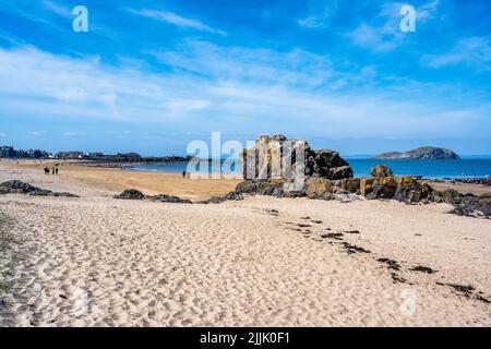 Milsey Bay Beach en direction de l'ouest vers Scottish Seabird Center, avec Craigleith Island sur la droite, North Berwick, East Lothian, Écosse, Royaume-Uni Banque D'Images