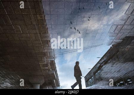 Silhouette floue de reflet d'une personne marchant seule sur un trottoir humide de la ville le jour des pluies. Les oiseaux volent à travers le ciel. Photographie abstraite Banque D'Images