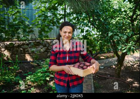 Femme agréable paysanne portant une caisse en bois de pommes de terre biologiques récoltées. L'éco-agriculture. Concept de livraison de légumes Banque D'Images