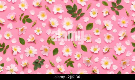 Motif fleuri sans couture de fleurs de rose, de bourgeons de feuilles et de pétales en forme de coeur sur fond rose. Vue de dessus Banque D'Images