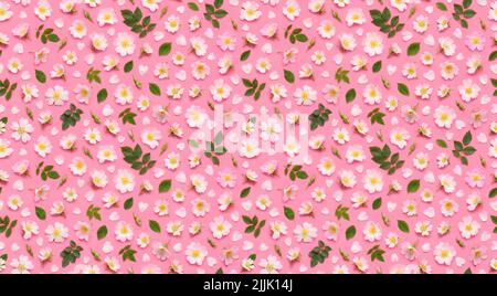 Motif fleuri sans couture de fleurs de rose, de bourgeons de feuilles et de pétales en forme de coeur sur fond rose. Vue de dessus Banque D'Images