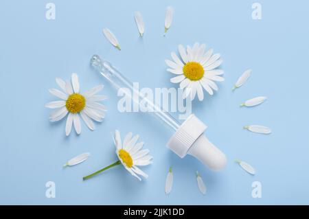 Compte-gouttes de sérum cosmétique pour le soin de la peau avec fleurs de camomille et pétales sur fond bleu vue du dessus Banque D'Images