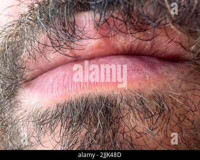 Gros plan sur les lèvres d'un homme barbu Banque D'Images