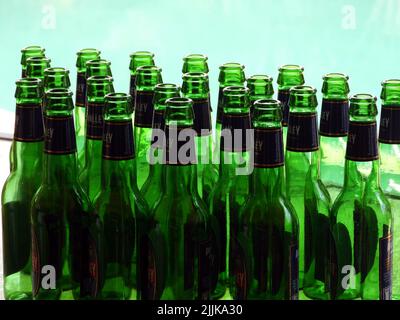 Beaucoup de bouteilles de bière vides après la fête de Noël, Brisbane, Australie Banque D'Images