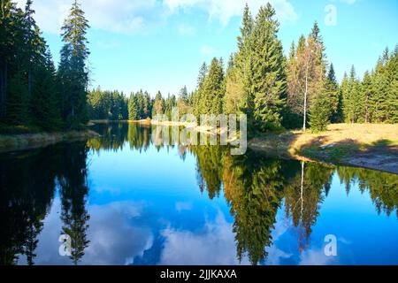 Une belle photo d'un lac et d'arbres verts et du ciel bleu nuageux qui se reflète dans l'eau par une journée ensoleillée Banque D'Images