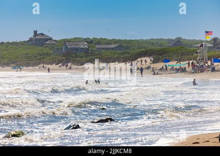 Les gens qui apprécient la plage et l'océan à Ditch Plains Banque D'Images