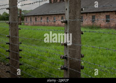 15 juin 2022: Oswiecim, Pologne. Casernes de briques dans le camp de concentration d'Auschwitz Birkenau, le plus grand d'Europe de l'est. Banque D'Images