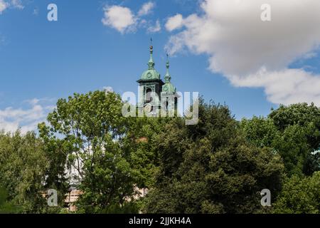 Plan vertical des sommets de la cathédrale royale de Gniezno vu de derrière des arbres verts Banque D'Images