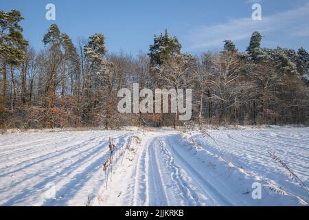 Route rurale dans le village de Rogow à Lodzkie Voivodeship de Pologne Banque D'Images