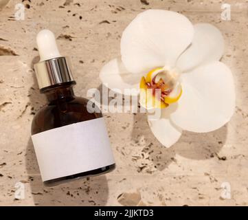 Bouteille de verre brun sur pierre près de la fleur d'orchidée blanche vue de dessus, maquette d'étiquette. Produit de beauté, sérum ou lotion fait main pour le soin de la peau. Naturel exotique Banque D'Images