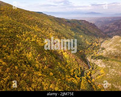 Vue aérienne d'un sentier rural à travers les montagnes avec des arbres jaunes d'automne à Blagoevgrad, Bulgarie Banque D'Images