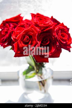 Un bouquet de roses rouges fraîches dans un vase en verre à côté d'une fenêtre Banque D'Images