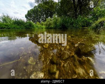 Chorleywood, Royaume-Uni. 27 juillet 2022. Météo au Royaume-Uni – de l'eau cristalline traverse les Échecs de la rivière à Chorleywood, dans le Hertfordshire, un ruisseau de craie qui revêt une importance particulière pour la faune et l'environnement naturel. Le Groupe national de lutte contre la sécheresse a exhorté les gens de tout le pays à utiliser l'eau judicieusement pour protéger l'approvisionnement en eau et l'environnement pendant la période actuelle de temps sec prolongé, comme le met Office prévoit plusieurs autres semaines de sécheresse à l'avenir, en particulier dans le Sud et l'est du pays. Des interdictions de bécassines et des ordres de sécheresse ne sont pas encore imposés. Credit: Stephen Chung / Alamy Live News Banque D'Images