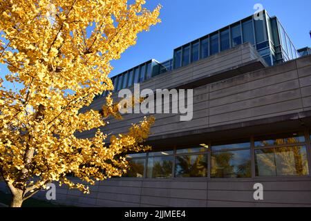 La Booth School of Business de l'Université de Chicago en automne. Banque D'Images