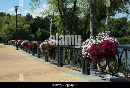 Fleurs dans les lits du parc et dans les pots suspendus dans les rues de la ville Banque D'Images