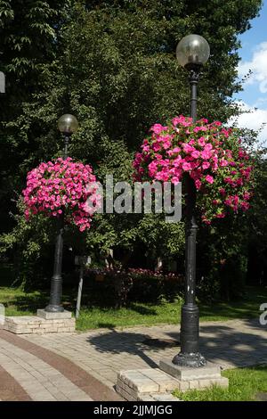 Fleurs dans les lits du parc et dans les pots suspendus dans les rues de la ville Banque D'Images