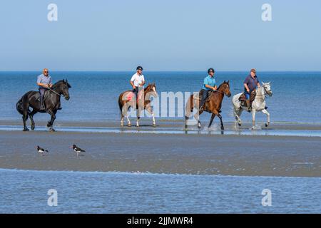 Quatre cavaliers âgés / âgés sur l'équitation sur la plage de sable le long de la côte de la mer du Nord en été Banque D'Images