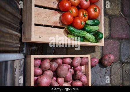 Vue partielle d'une caisse en bois avec des légumes biologiques locaux, cultivés dans une ferme écologique pour la vente sur les marchés des agriculteurs Banque D'Images