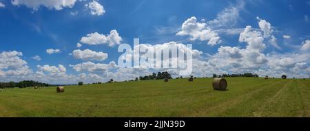 Une vue panoramique aérienne du champ de verdure avec du foin en balles sous un ciel bleu vif Banque D'Images