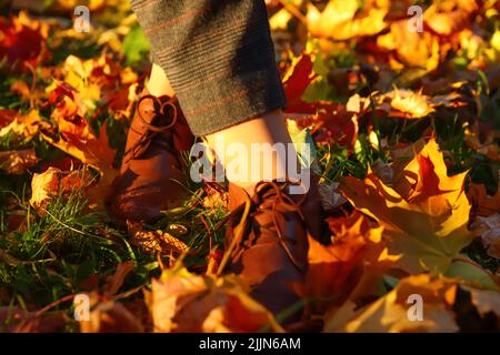 Refocalisation du pied féminin en gros plan dans le pantalon capri et les chaussures de brogues sur l'arrière-plan des feuilles lumineuses d'automne. Femme lumineuse et élégante en manteau orange marchant en octobre Banque D'Images