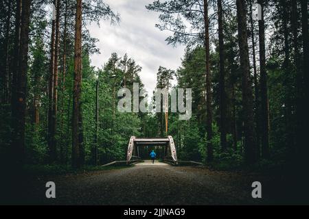 Photo arrière d'une personne adulte qui fait du vélo sur un pont d'arche dans la forêt contre un ciel nuageux pendant la journée Banque D'Images