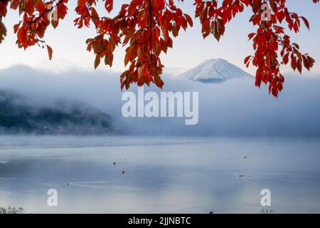 Mt. Fuji au-dessus du lac Kawaguchi, au Japon, avec du brouillard qui se balade à l'aube pendant la saison d'automne. Banque D'Images