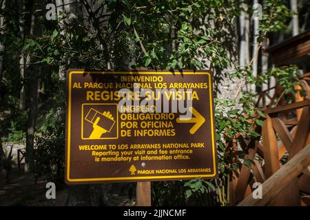 La forêt d'Arrayanes dans le district des lacs en Argentine Banque D'Images