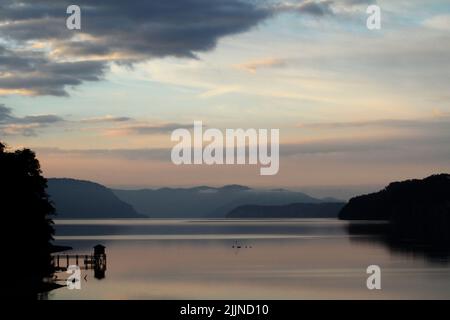 La forêt d'Arrayanes dans le district des lacs en Argentine Banque D'Images