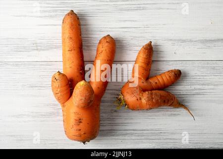 Deux carottes orange mûres laides reposent sur une surface en bois clair Banque D'Images