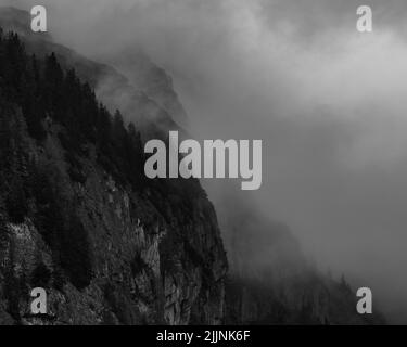Une photo en niveaux de gris de montagnes rocheuses par une journée brumeuse Banque D'Images