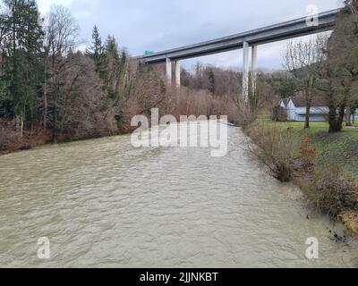 Vue sur la rivière verdoyante entourée d'arbres sous le pont Banque D'Images