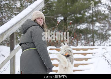 Une femme de race blanche marchant dans un parc enneigé avec son husky Banque D'Images