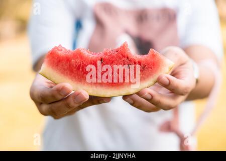 Le melon d'eau mordu entre les mains en été Banque D'Images