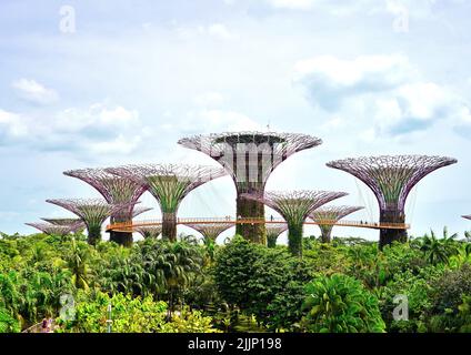 Une photo aérienne des structures abstraites de la Marina Bay Supertree Grove à Singapour entourée d'une végétation luxuriante Banque D'Images