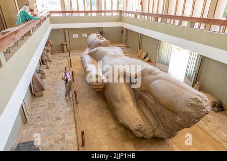 Memphis Egypt; 26 juillet 2022 - Une statue monumentale de Ramses II sculptée dans le calcaire et mesurant environ 10 mètres de long. Banque D'Images