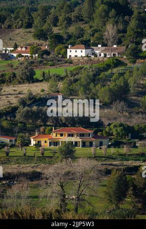 Un cliché vertical de maisons rurales dispersées sur des montagnes couvertes d'arbres au printemps ou en été Banque D'Images
