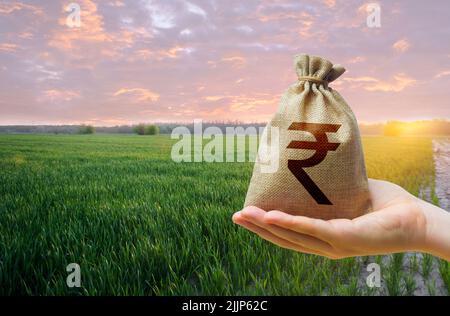 Champ vert de jeune blé et sac d'argent de roupie indienne. La faim dans le monde. Céréales déficits céréaliers. Famine. L'agro-industrie et le bus agricole Banque D'Images