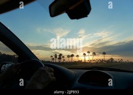 Vue de l'intérieur d'une voiture, coucher de soleil dans le parc national d'El Palmar, à entre Rios, en Argentine, une zone protégée naturelle où le palmier endémique de Butia yatay Banque D'Images