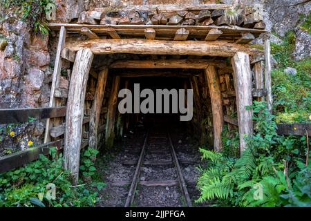 Une voie ferrée menant à un tunnel entouré de verdure Banque D'Images