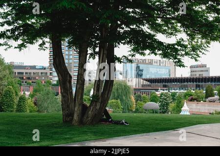 Un couple debout sous un arbre et regardant le jardin de Palas à Iasi, Roumanie Banque D'Images